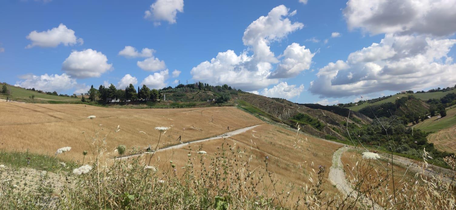 Il sito della discarica La Torre, chiuso dopo decenni